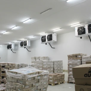 generated_image_october_13_2025_1_09pm_1x